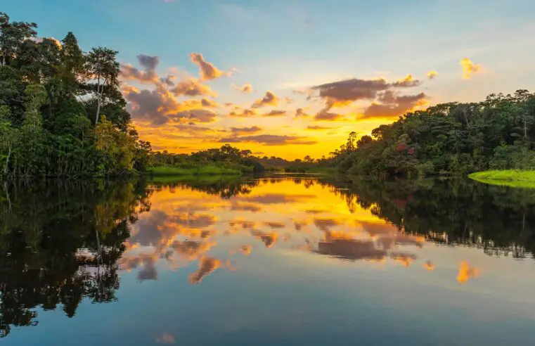 Viagem para Amazônia: Tudo o que Você Precisa Saber!