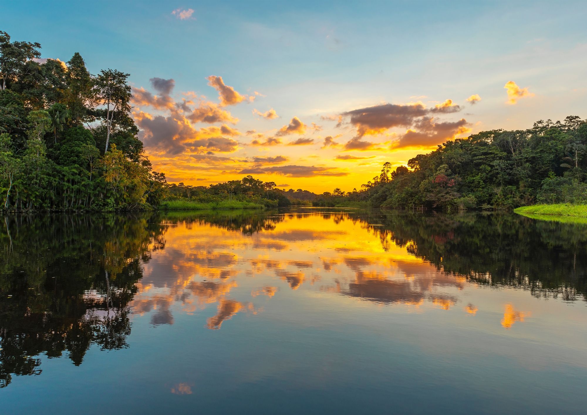 Viagem para Amazônia: Tudo o que Você Precisa Saber!